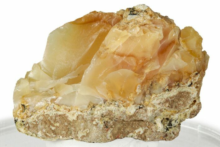 Rough Oregon Fire Opal #330550